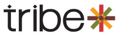 Logo Tribe X